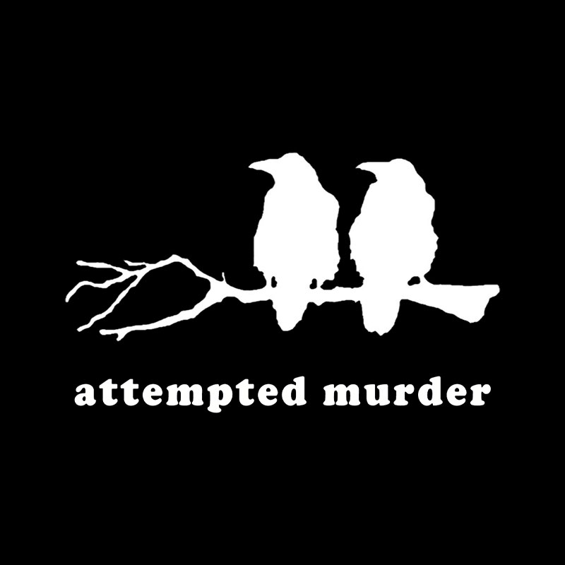 Attempted Murder Funny Crow Bird Playful T-Shirt