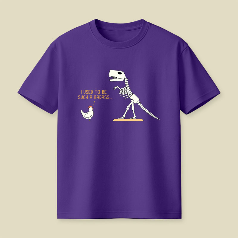 I Used To Be Such A Badass Playful T-Shirt