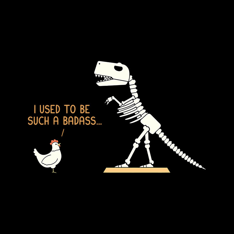 I Used To Be Such A Badass Playful T-Shirt