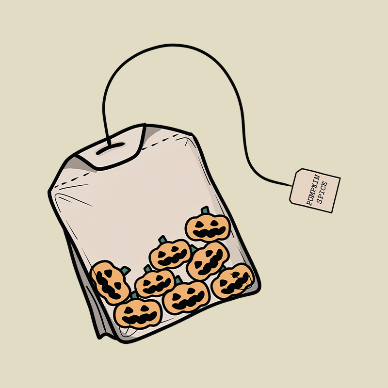 Pumpkin Spice Playful T-Shirt