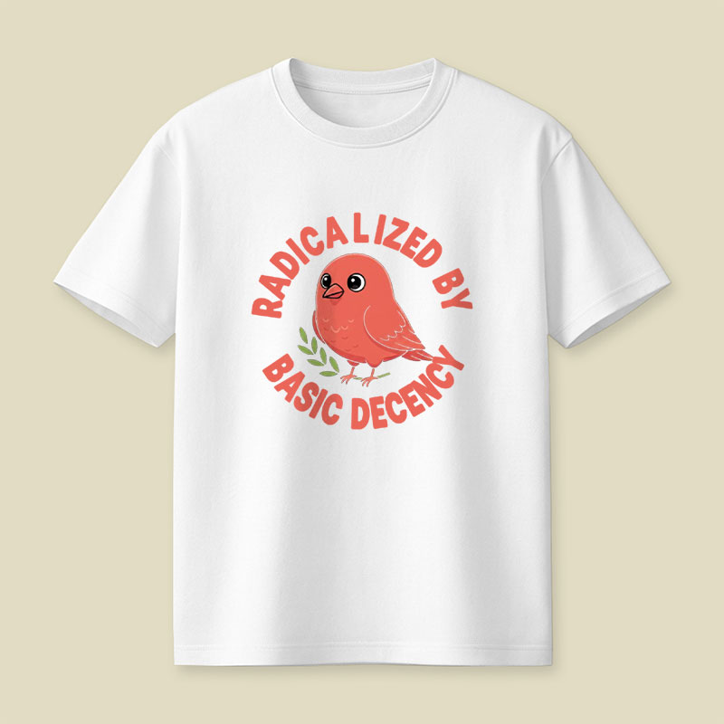 Radicalized By Basic Decency Playful T-Shirt