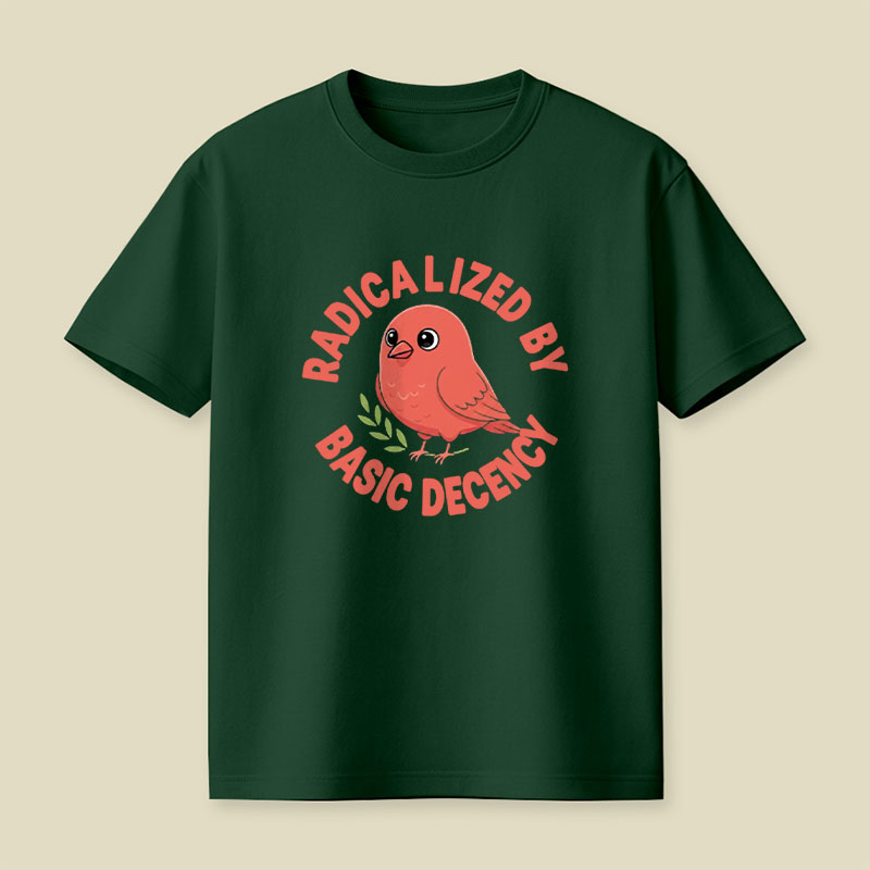 Radicalized By Basic Decency Playful T-Shirt