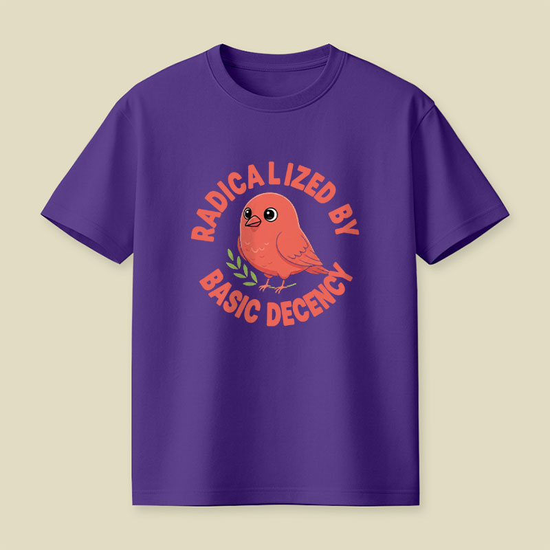 Radicalized By Basic Decency Playful T-Shirt