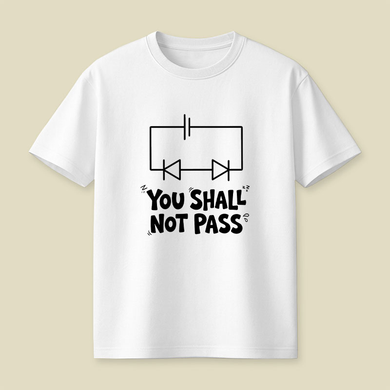 Funny Physics You Shall Not Pass Playful T-Shirt
