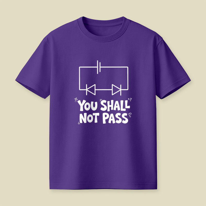 Funny Physics You Shall Not Pass Playful T-Shirt