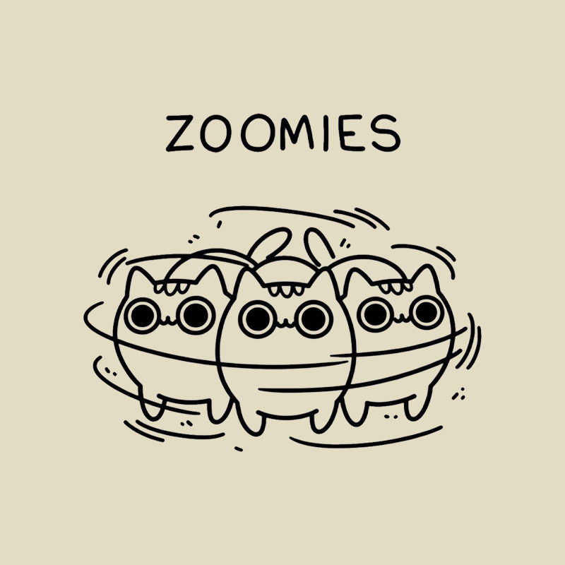 Zoomies Playful T-Shirt