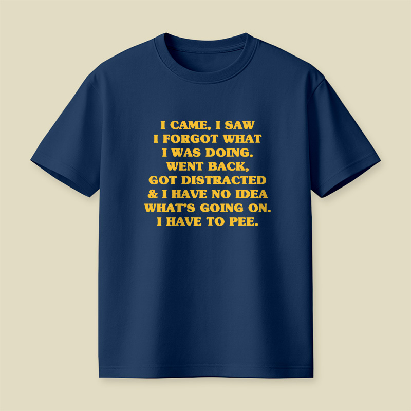 I Came I Saw I Forgot What I Was Doing Playful T-Shirt
