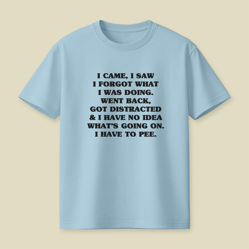 I Came I Saw I Forgot What I Was Doing Playful T-Shirt