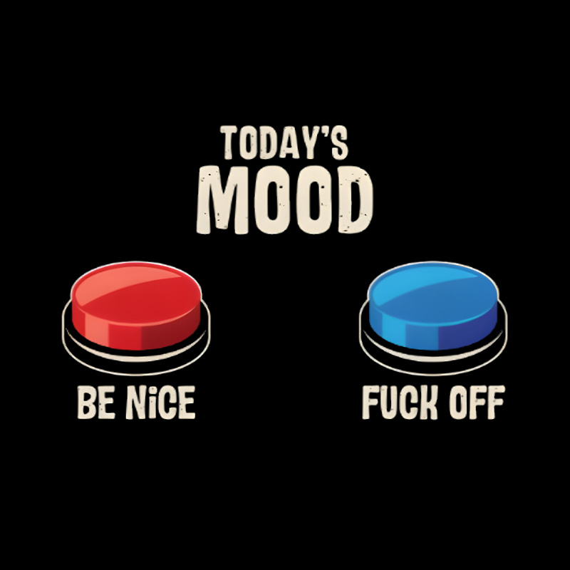 Today Mood Be Nice Or Fck Off Playful T-Shirt