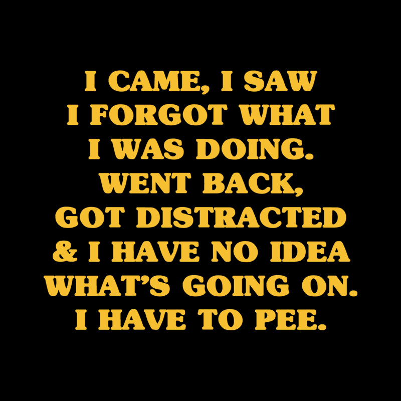 I Came I Saw I Forgot What I Was Doing Playful T-Shirt