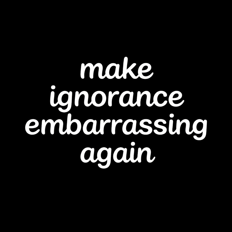 Make Ignorance Embarrassing Again Playful T-Shirt