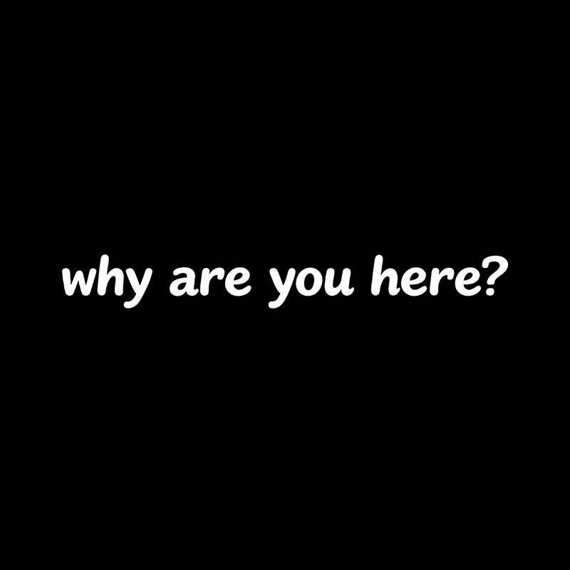 Why Are You Here Playful T-Shirt