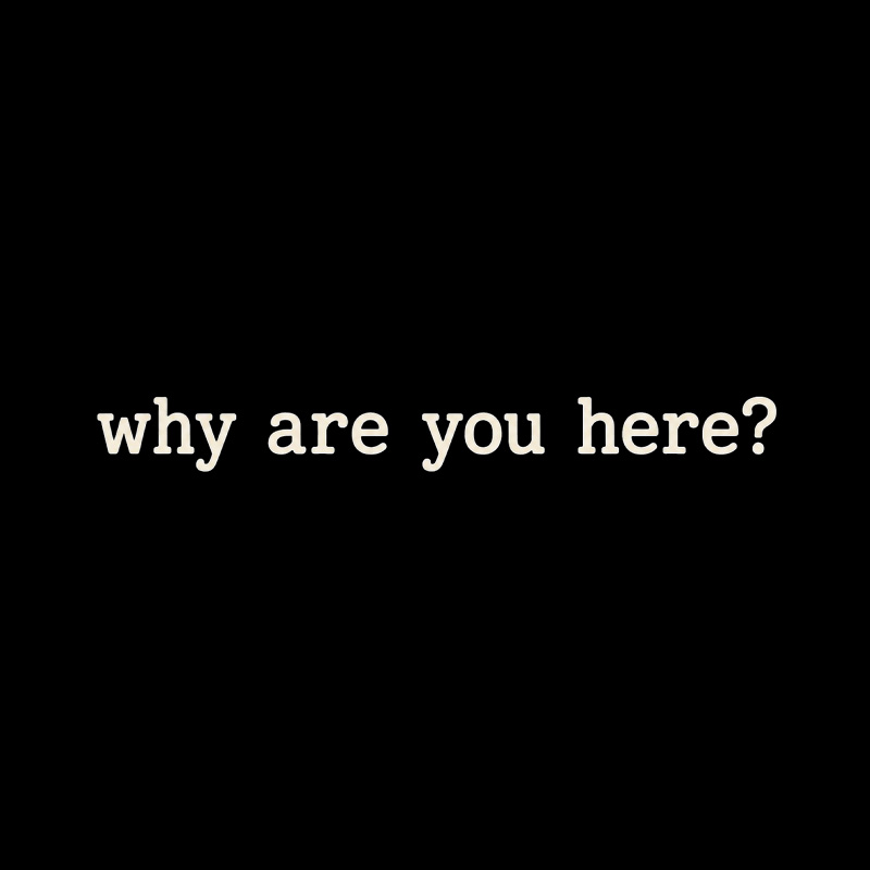 Why Are You Here Awkward Introvert Playful T-Shirt