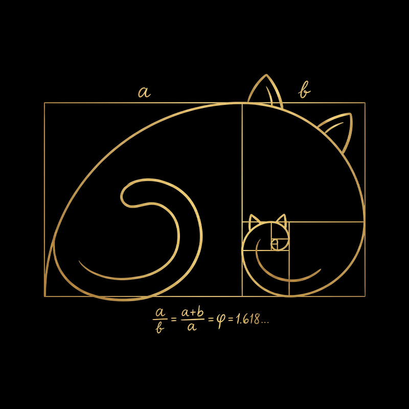 Golden Ratio Cat Geometry Playful T-Shirt