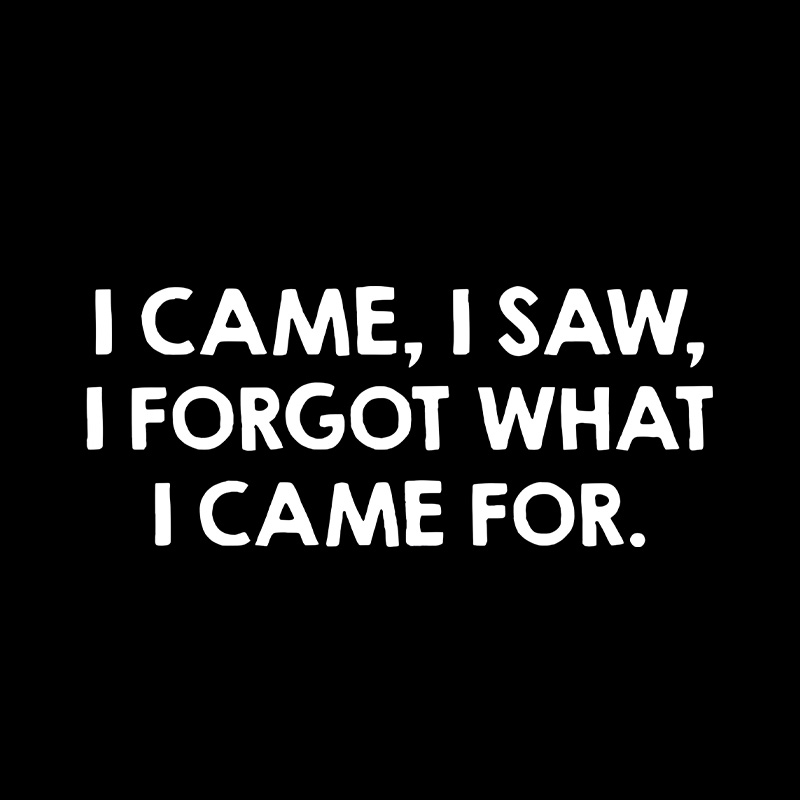 I Came I Saw I Forgot What I Came For Playful T-Shirt