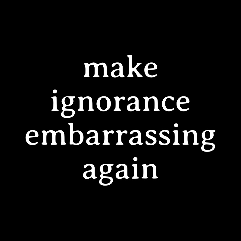 Make Ignorance Embarrassing Again Playful T-Shirt