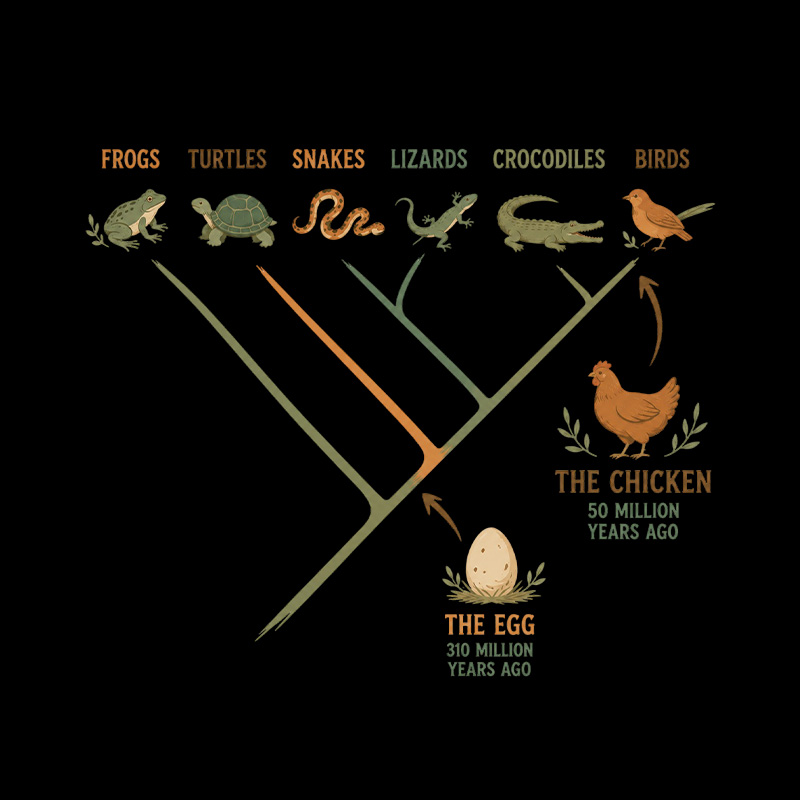 Chicken Or Egg Evolution Playful T-Shirt