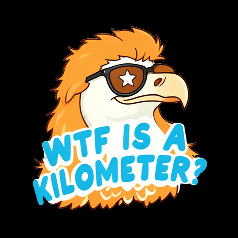 Wtf Is A Kilometer Playful T-Shirt