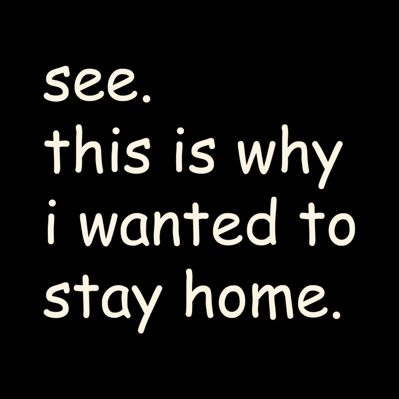 See This Is Why I Wanted To Stay Home Playful T-Shirt