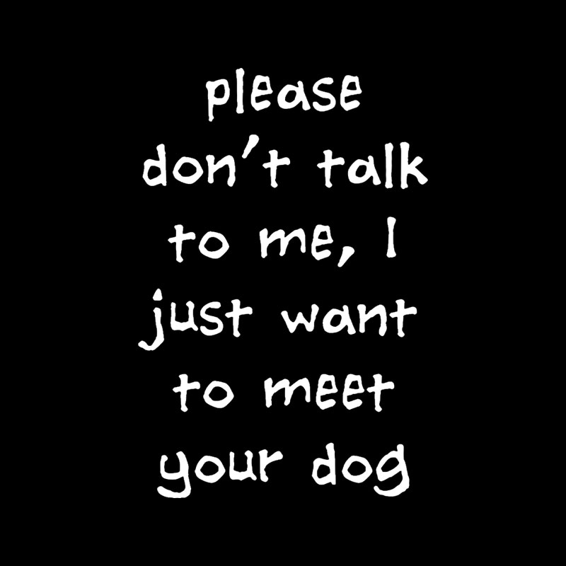 Please Dont Talk To Me Playful T-Shirt