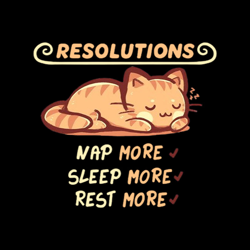 Resolution to Sleep Playful T-Shirt