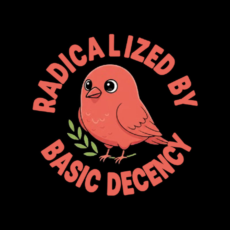 Radicalized By Basic Decency Playful T-Shirt
