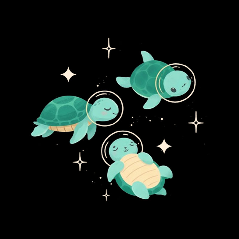 Space Turtles Playful T-Shirt