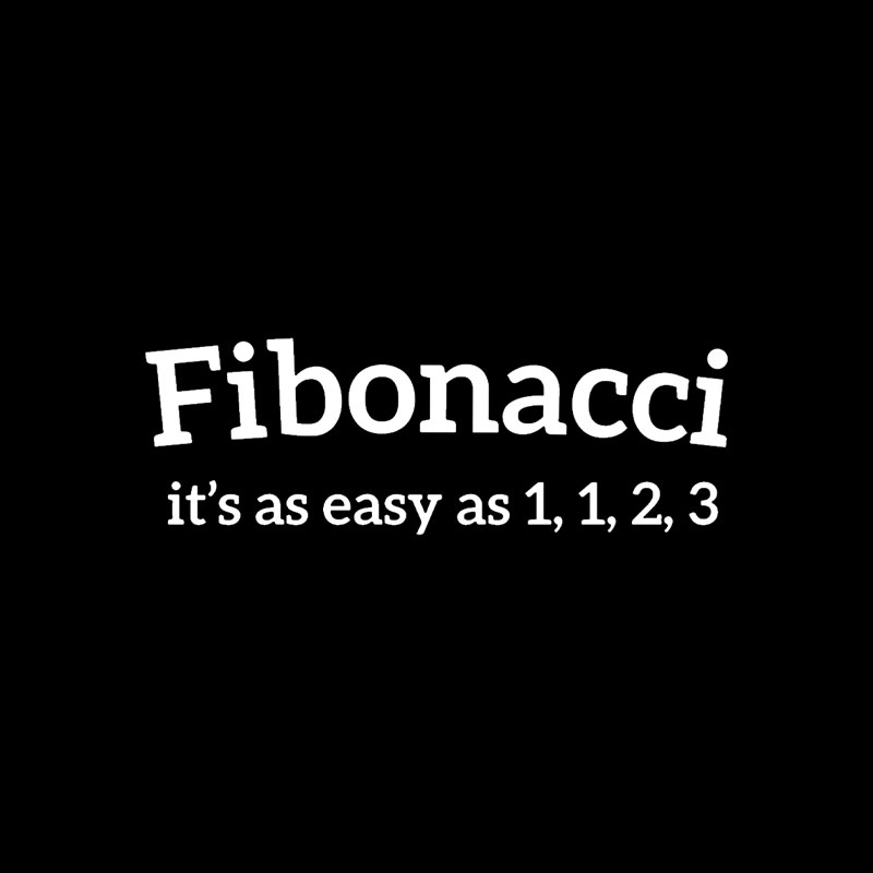 Fibonacci Funny Quote Playful T-Shirt