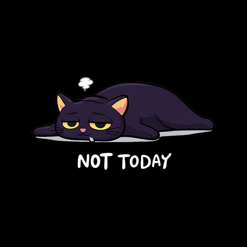 Not Today Humour Playful T-Shirt