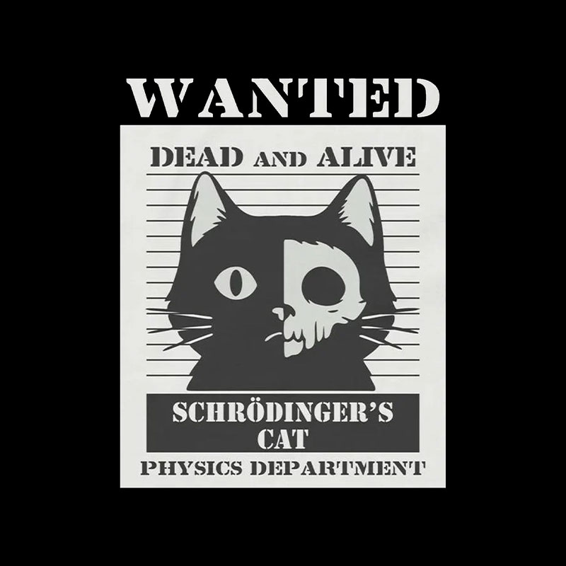 Schrodingers Cat Playful T-Shirt
