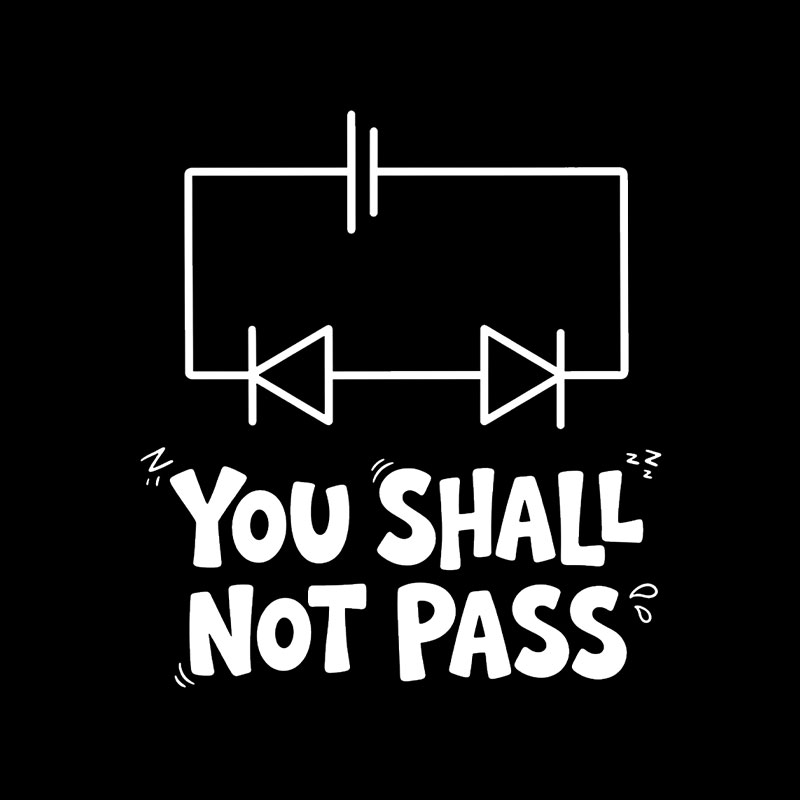 Funny Physics You Shall Not Pass Playful T-Shirt