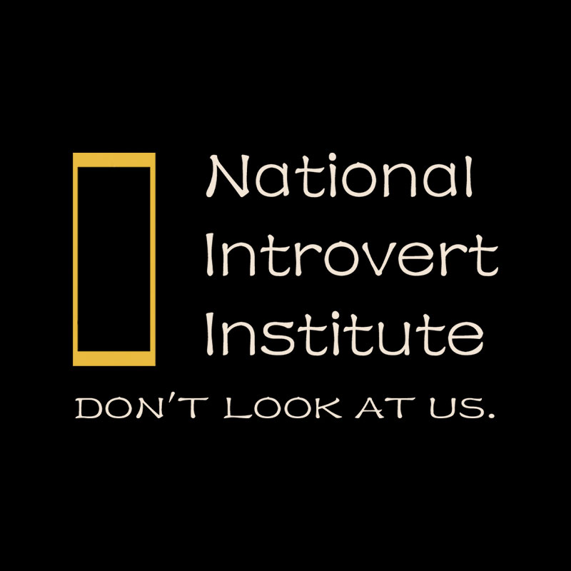 National Introvert Institute Playful T-Shirt