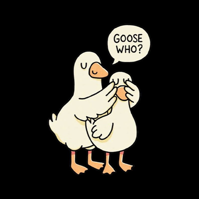 Goose Who Playful T-Shirt