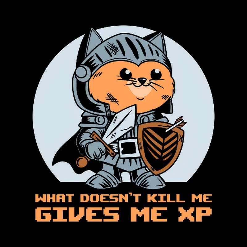 What Doesnt Kill Me Gives Me XP Playful T-Shirt