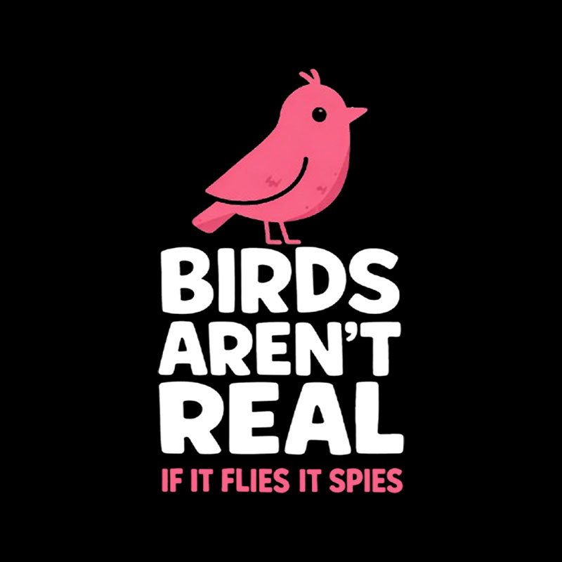 Vintage Birds Arent Real Playful T-Shirt