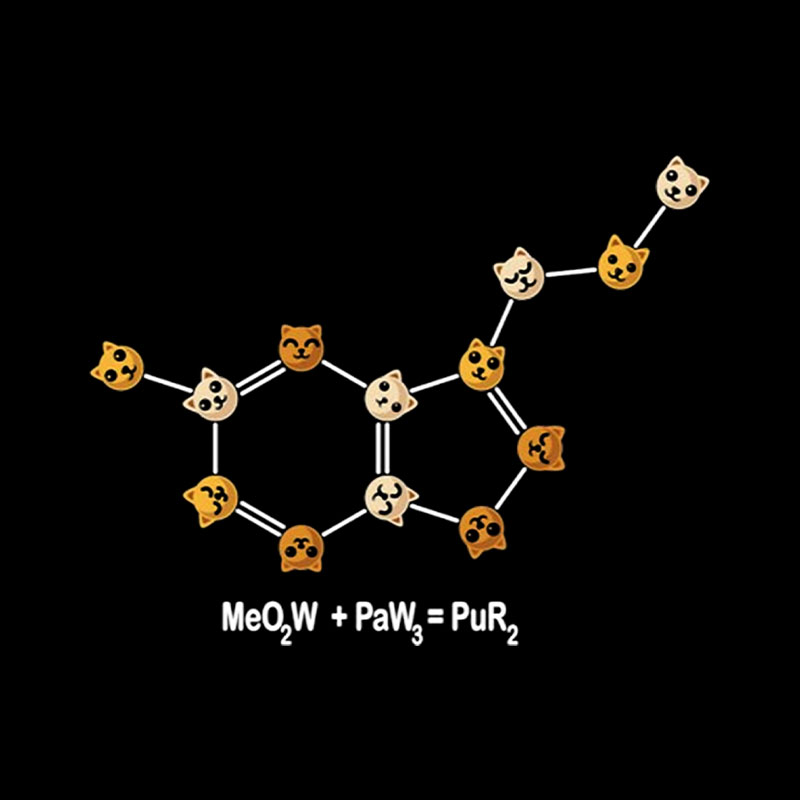 Happiness Meowlecule Playful T-Shirt