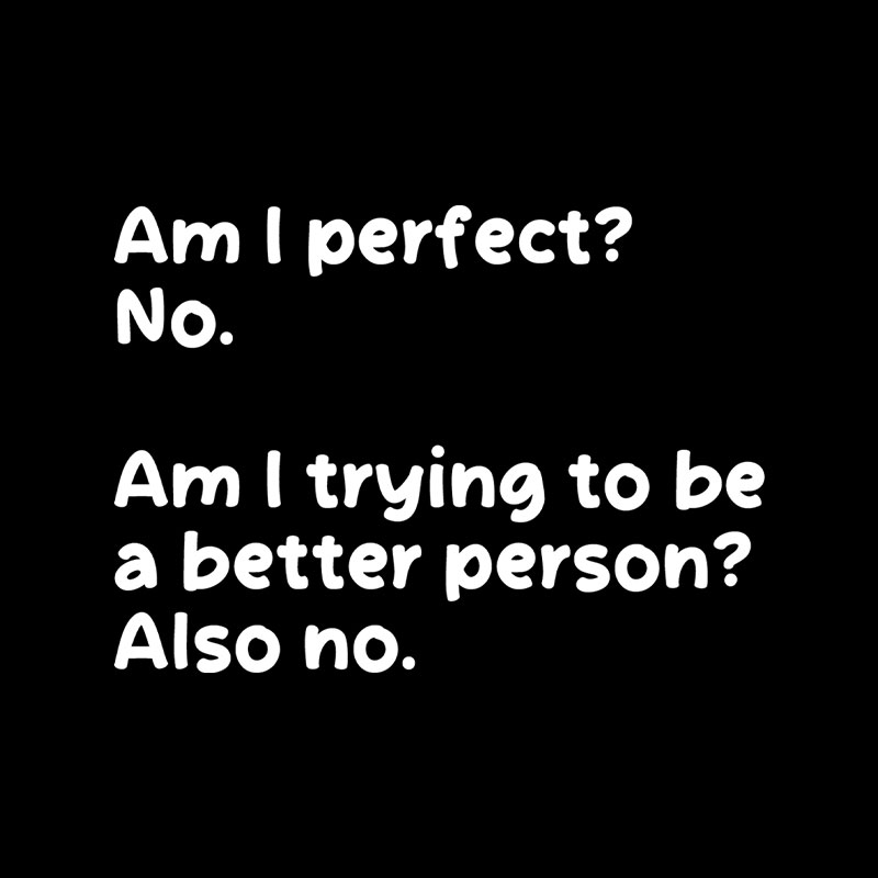 Am I Perfect No Playful T-Shirt