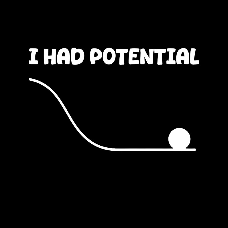 I Had Potential Playful T-Shirt