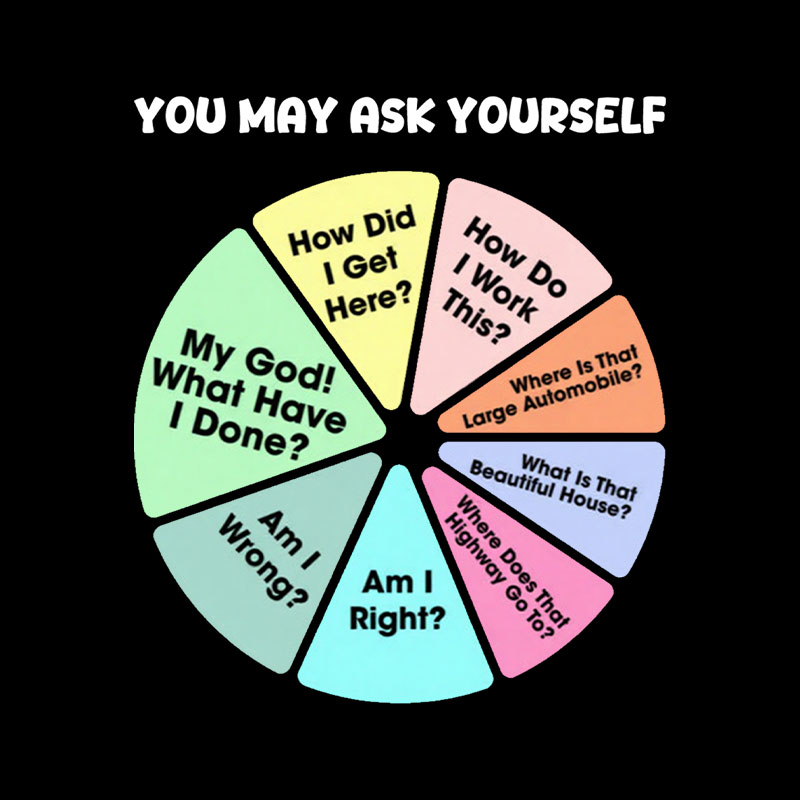 You May Ask Yourself Playful T-Shirt