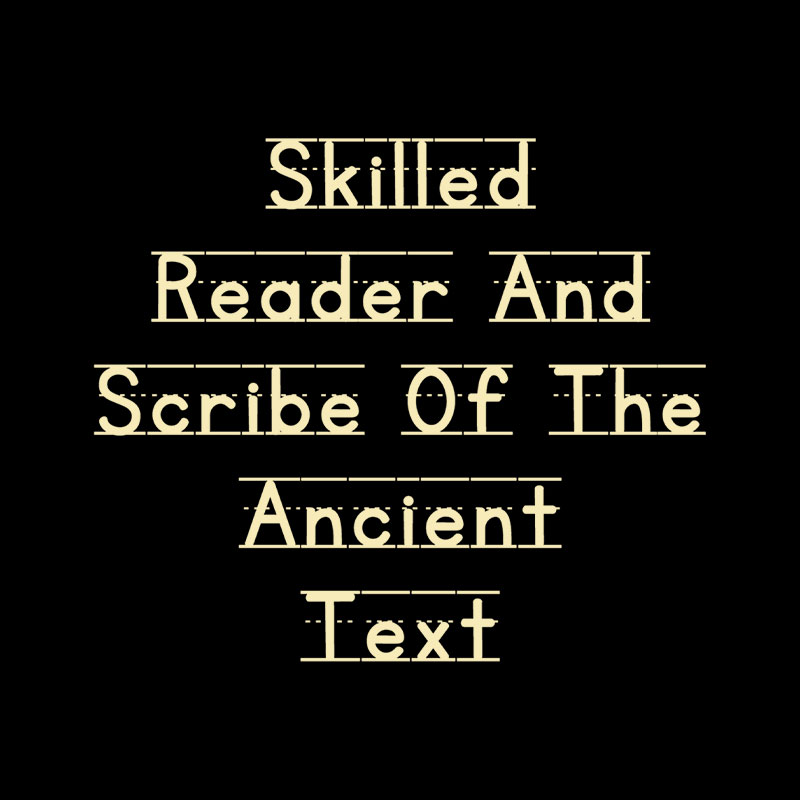 Skilled Reader And Scribe Of The Ancient Text Playful T-Shirt