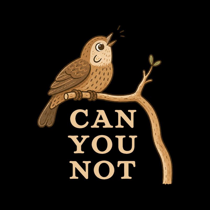 Can You Not Playful T-Shirt