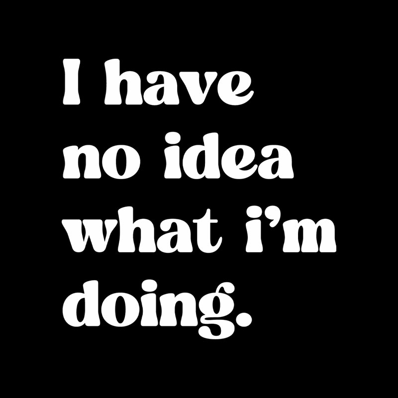 I Have No Idea What Im Doing Playful T-Shirt