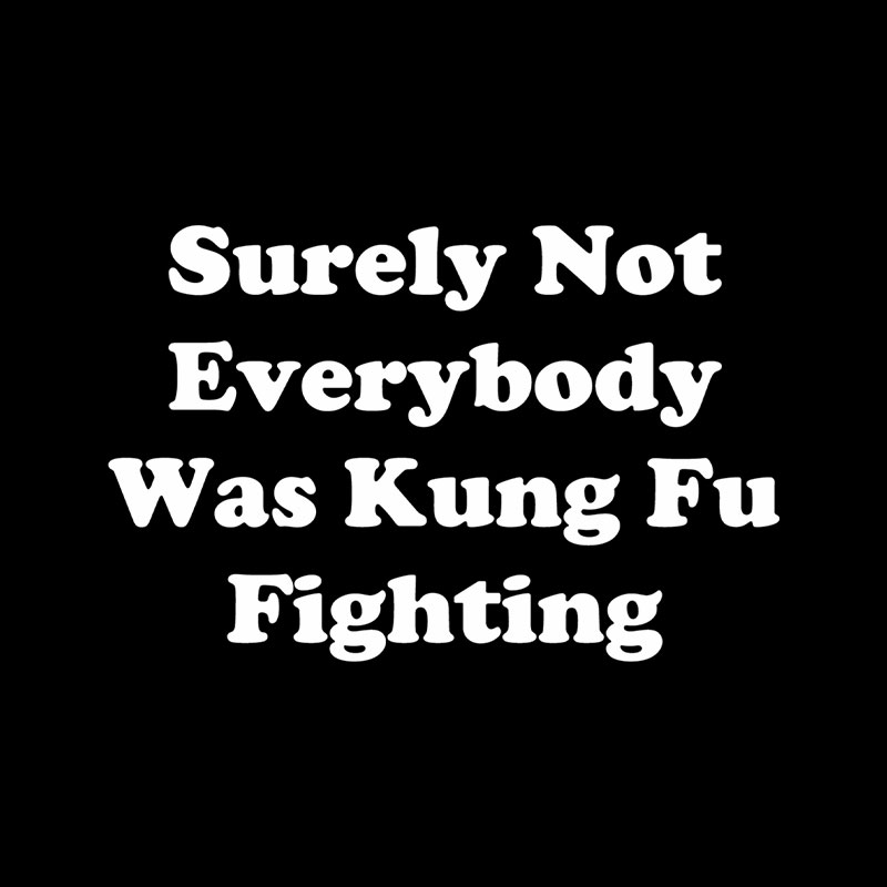 Surely Not Everybody Was Kung Fu Fighting Playful T-Shirt