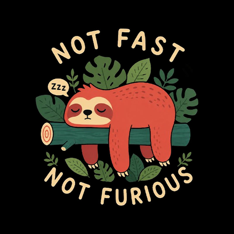 Not Fast Not Furious Playful T-Shirt