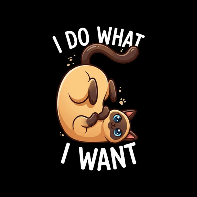 I Do What I Want Playful T-Shirt