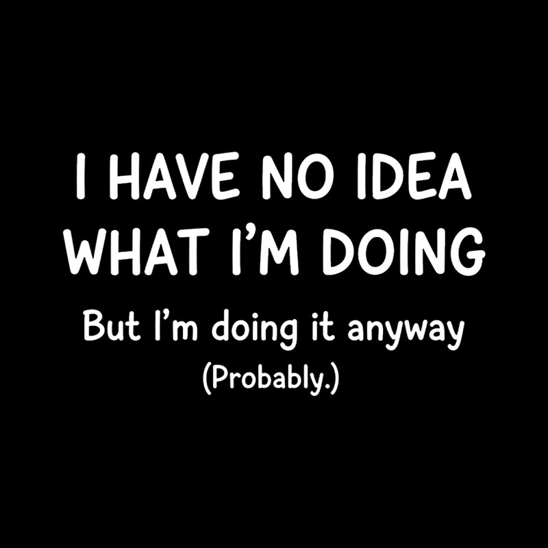 I Have No Idea What Im Doing Playful T-Shirt