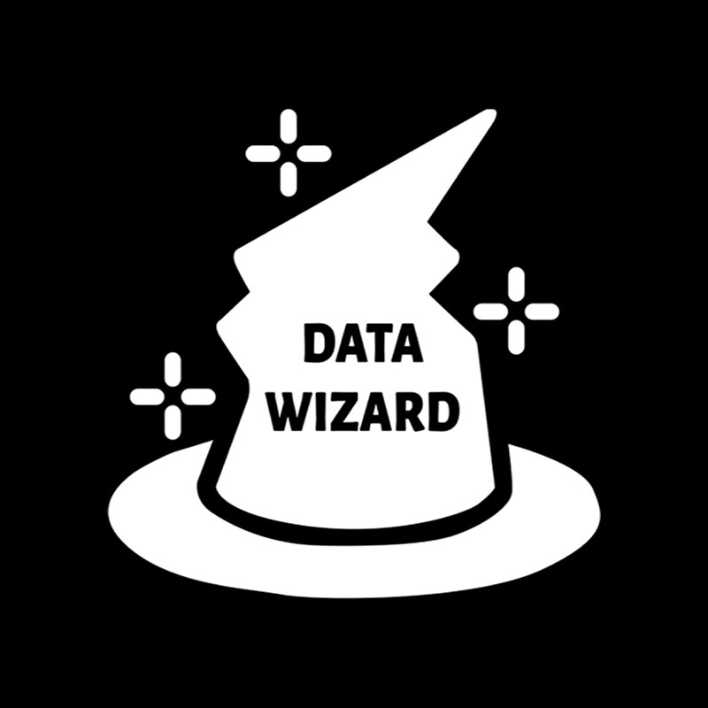 Data Wizard Playful T-Shirt