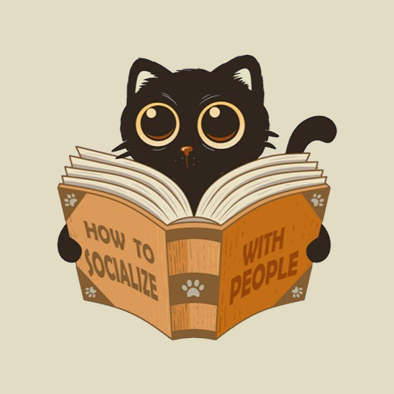 How To Socialize With People Playful T-Shirt