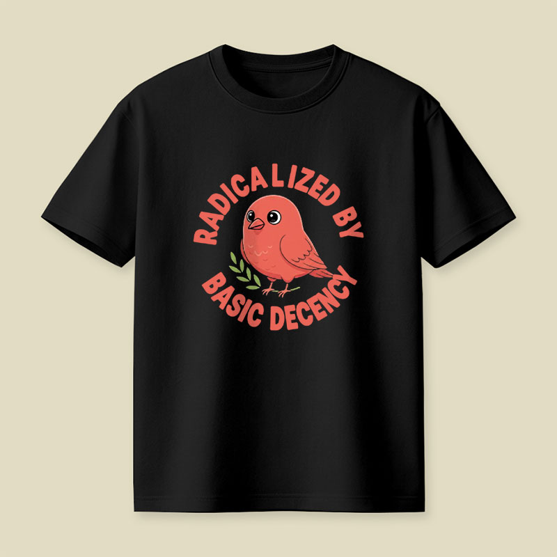 Radicalized By Basic Decency Playful T-Shirt