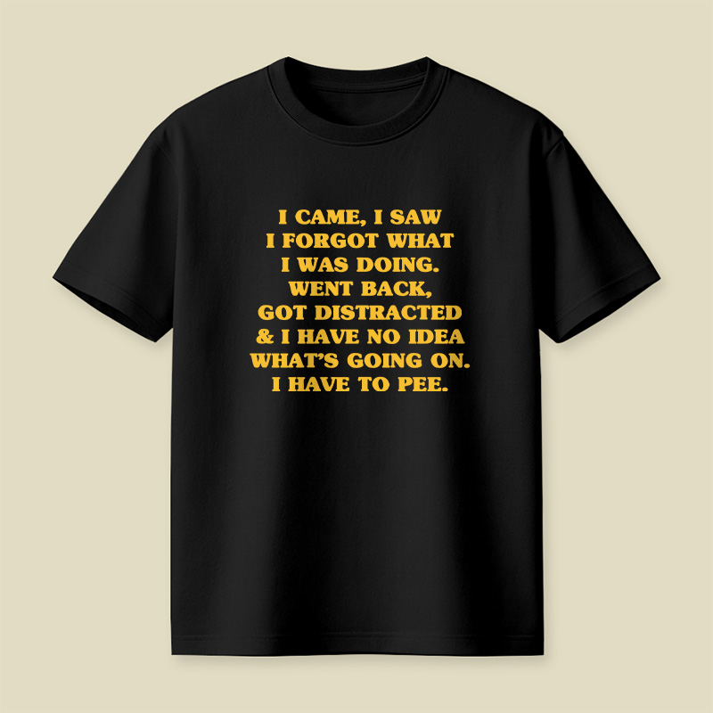 I Came I Saw I Forgot What I Was Doing Playful T-Shirt